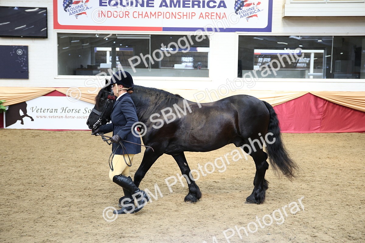 SBM_24268 - Class 905 - Supreme Final - Ridden Veteran