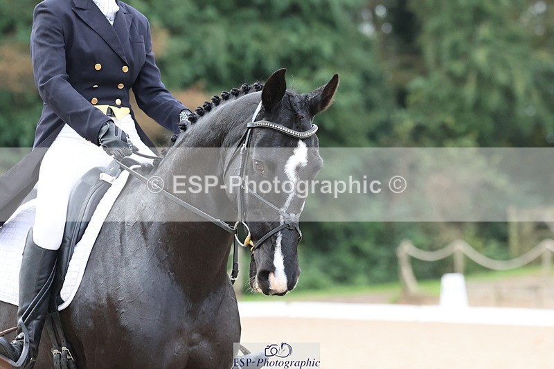 241024-093740-01118 - 128-Lottie.Turnell-TRICKLE