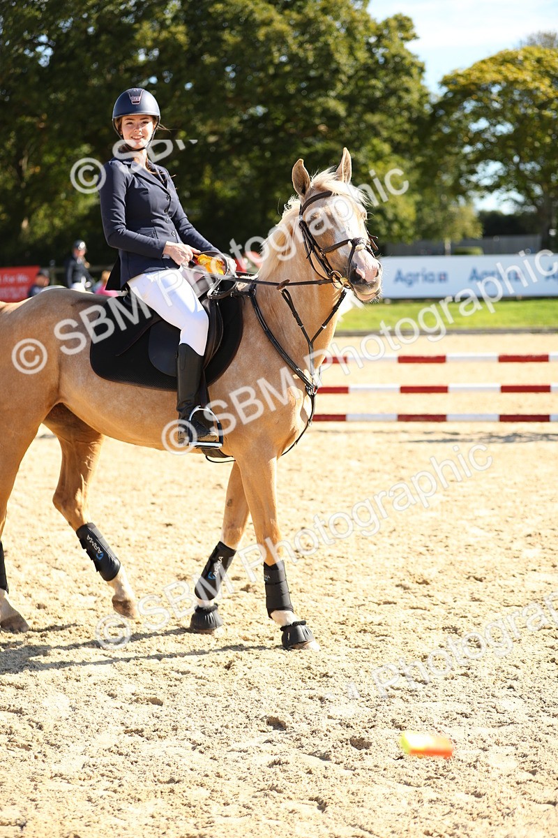 SBM_17821 - J33 - Senior 75cm Championship