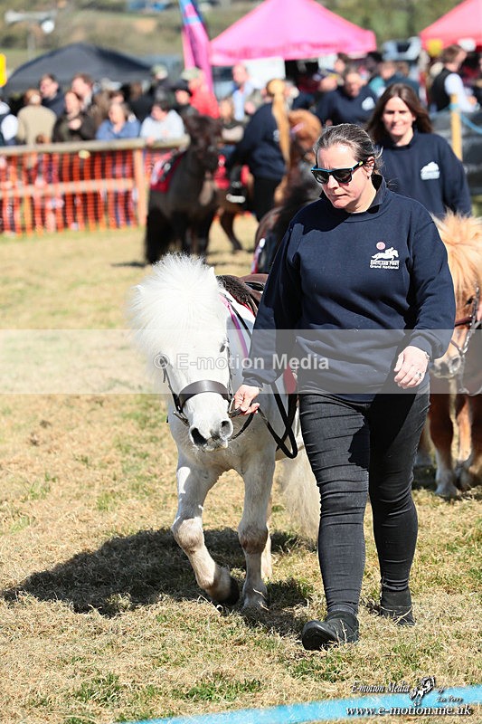 Shet 060426 57 - Shetland Pony Racing Paxford Races Easter Mon 06/04/26