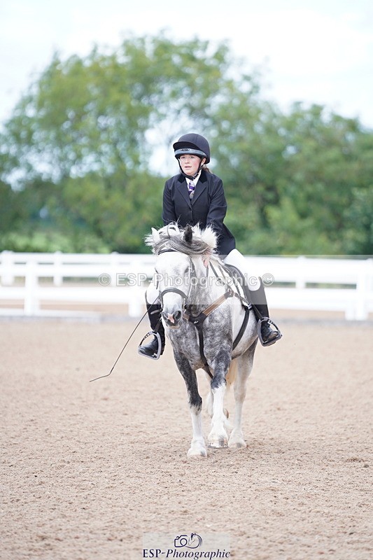 240809A-115132-00837 - Showjumping Competition
