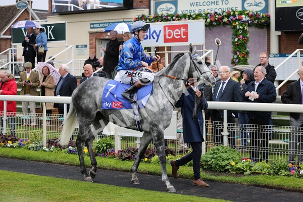 yr11052022r1-11 - Race 1 1.50pm Sky Bet Race to the Ebor Jorvik Stakes