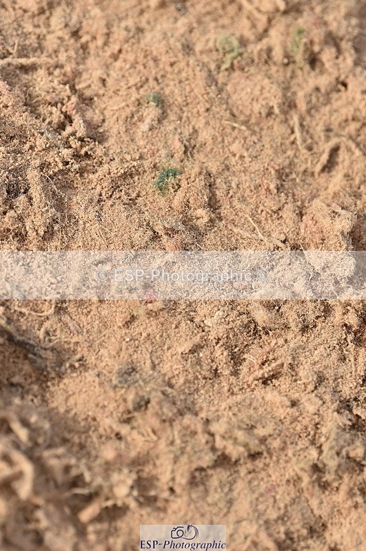 231015A-143824-08759 - Cls 26 1.05m Grand Prix