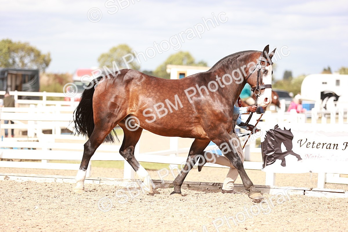 SBM_18375 - Class 418 - Best Condition - Jnr