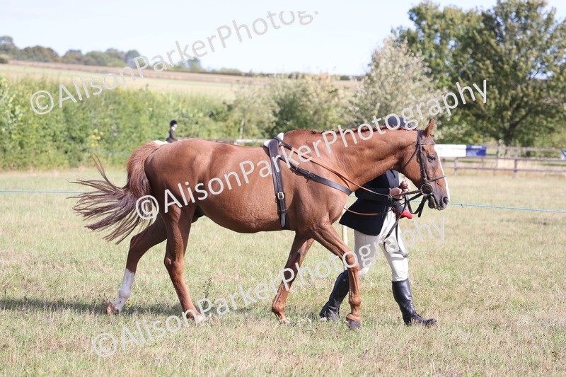 20260906-0659 - Class 22 - Ex Racehorse