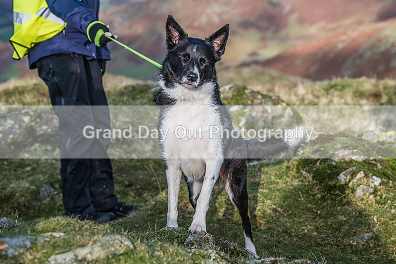 Dunnerdale-792 - Dunnerdale Fell Race Saturday 12th November 2022