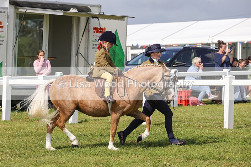 1X9A3581 - Class 29: Lead Rein SP/SHP