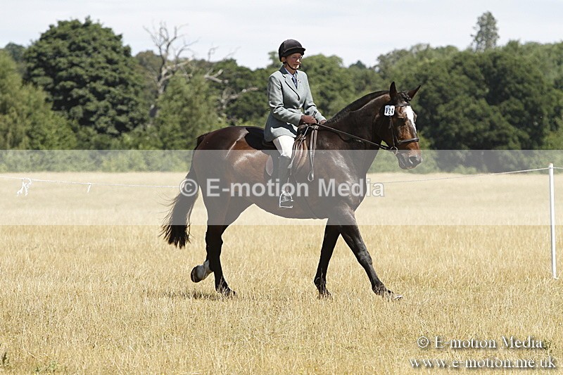 _BS_0848 - BVRC Show 2018 Ring 1