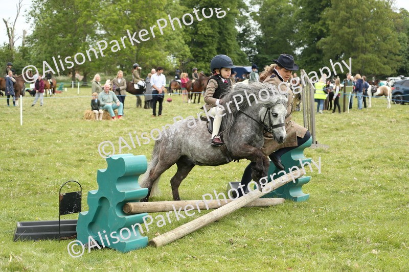 20250517-0523 - Class 20 - Beginners Working Hunter