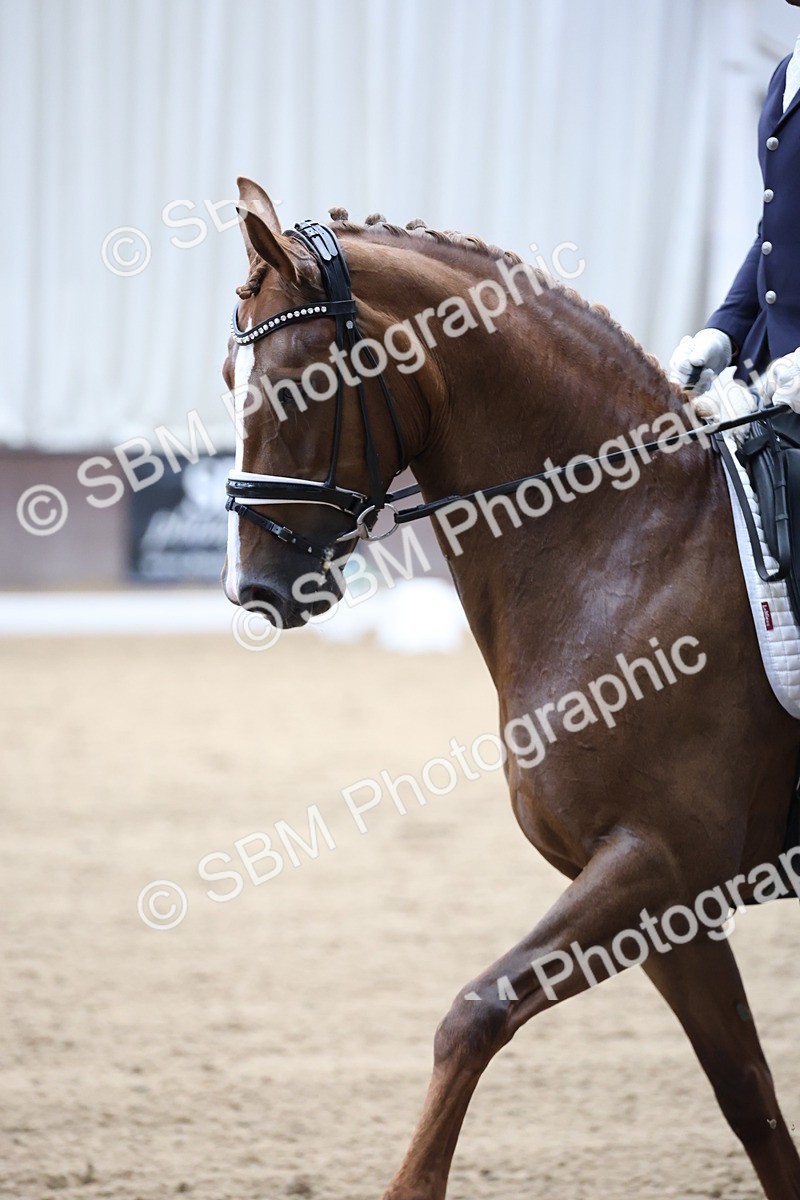 SBM_003171