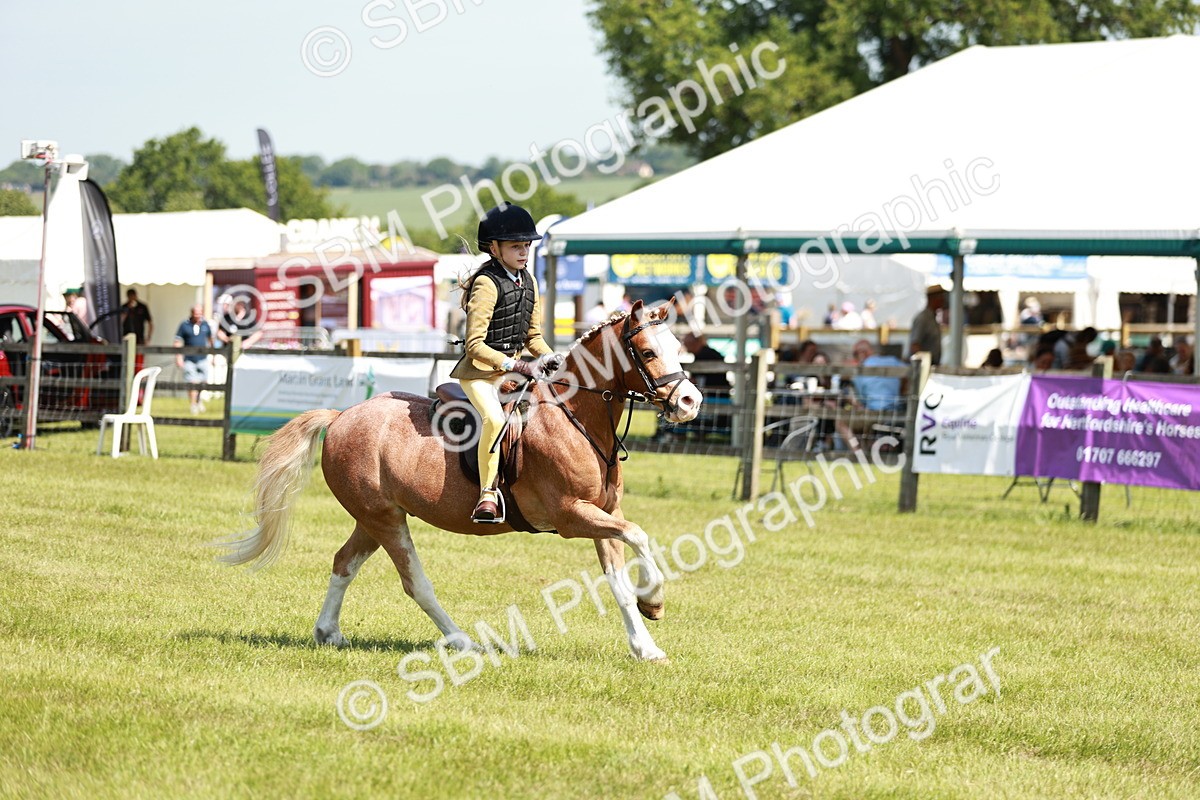 SBM_13584 - Class 108-109 - BSPS LIHS Open Gradle & Nursery Stakes