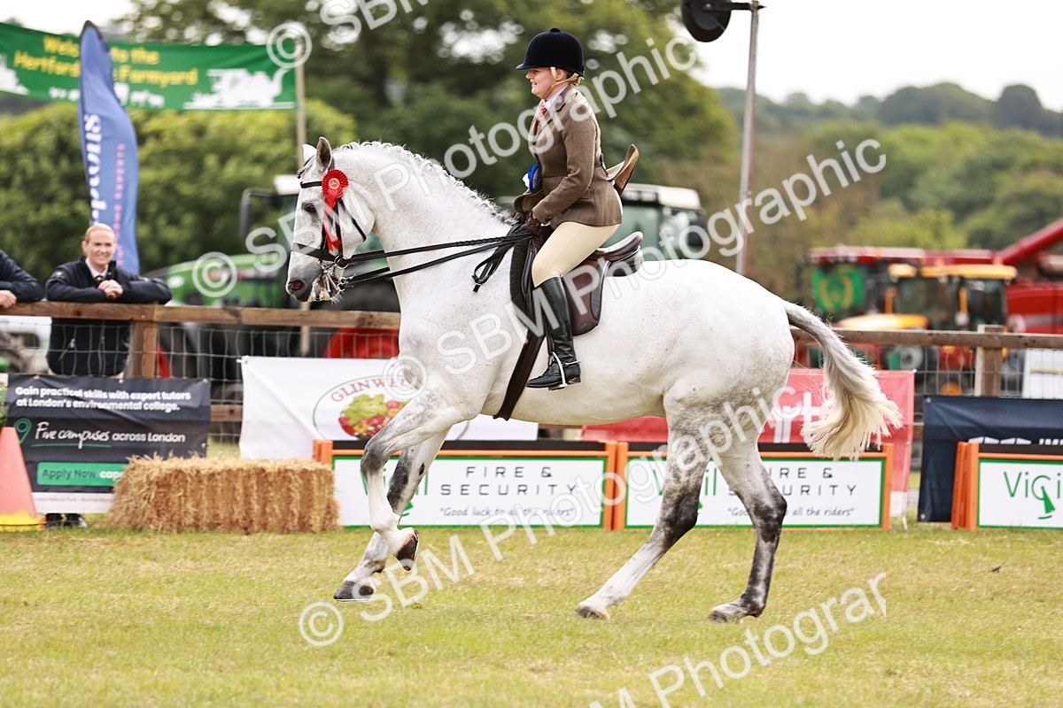 SBM_11593 - Class 81-84 - RIHS Ridden hunters Inc Ladies Hunter