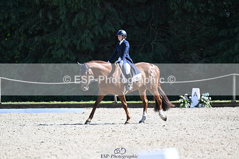 250522A-162026-04917 - C-231-Alannah.Dunstan-JUMPING.STAR.J.W.B
