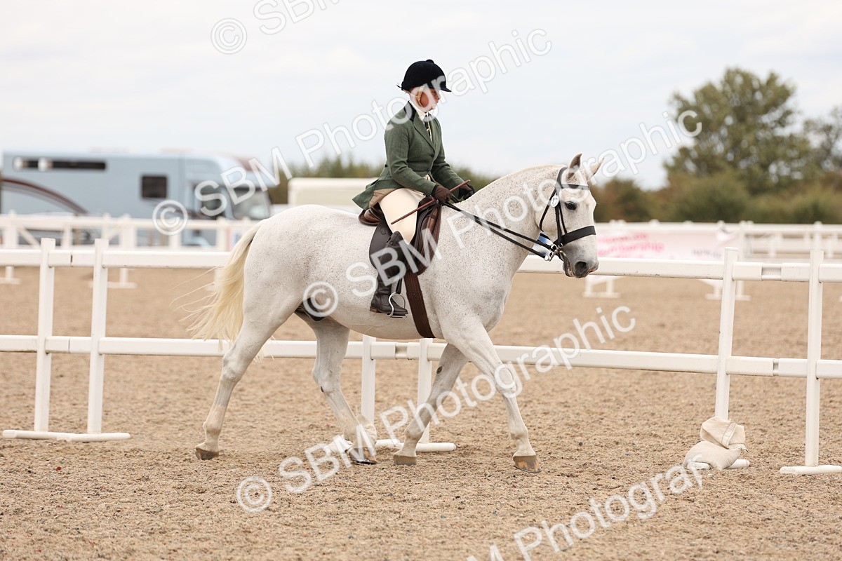 SBM_19519 - Class 215 - Ridden Show cob
