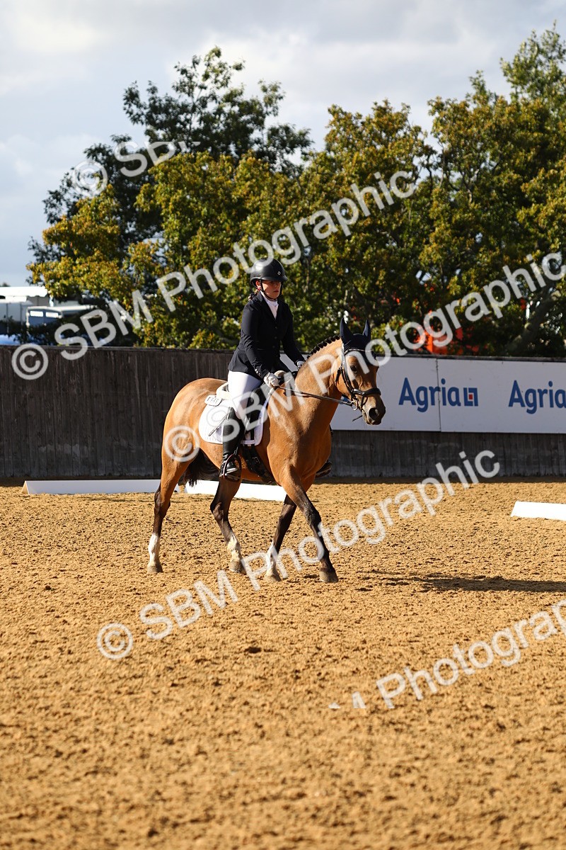SBM_52446 - D23 - Junior Championship Prelim 1