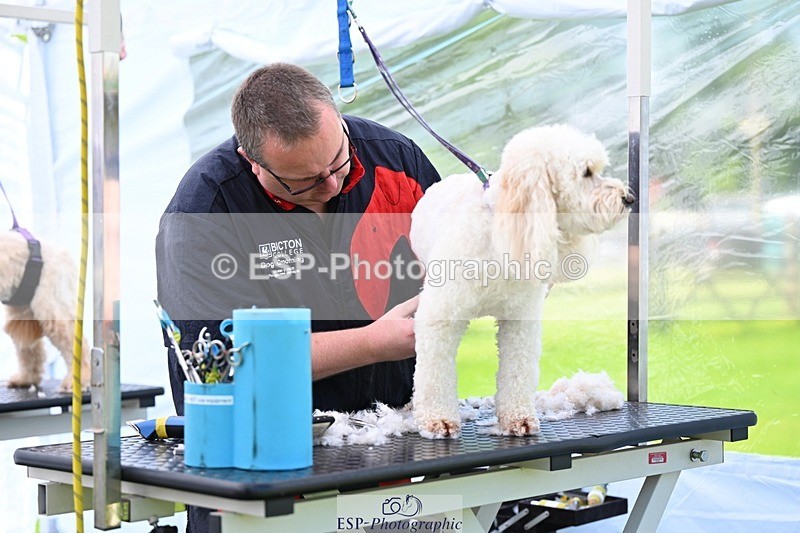 240525-114806-12627 - Candid and Saturday Hobby Horse