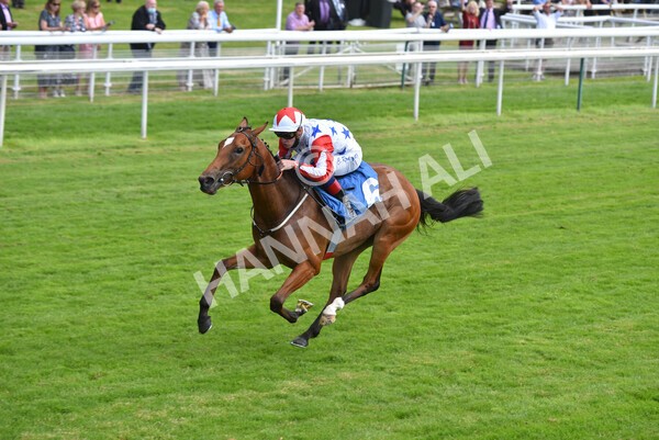 yr09072021r3-19 - Race 3 3.15pm William Hill Pick Your Places Irish EBF Novice Stakes