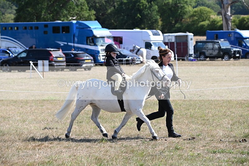 WJ6_7841 - Class 36 Lead Rein