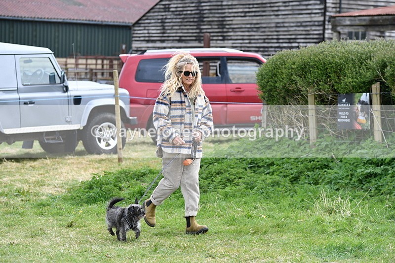 WJ5_9209 - Class 1 Best Cross Breed / Heniz 57