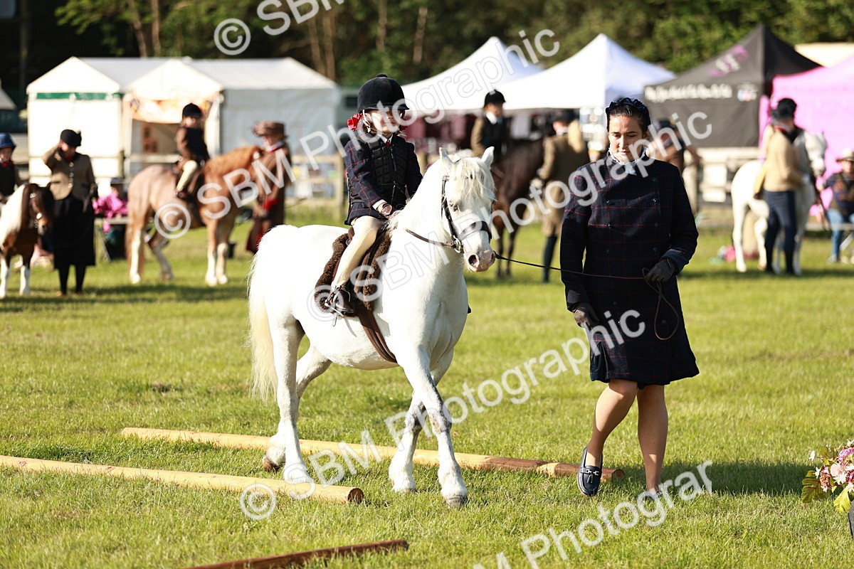 SBM_11093 - Class 106-107 - BSPS LIHS Working Sports Pony