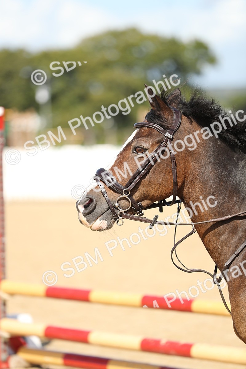 SBM_04736 - J28 - Senior Horse & Pony 60cm Championships