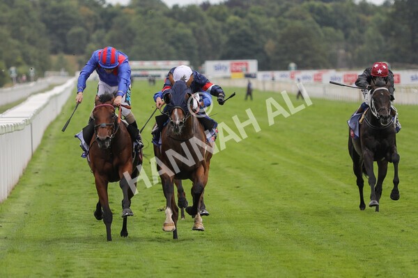 yr23072022r3-20 - Race 3 3.15pm Sky Bet York Stakes