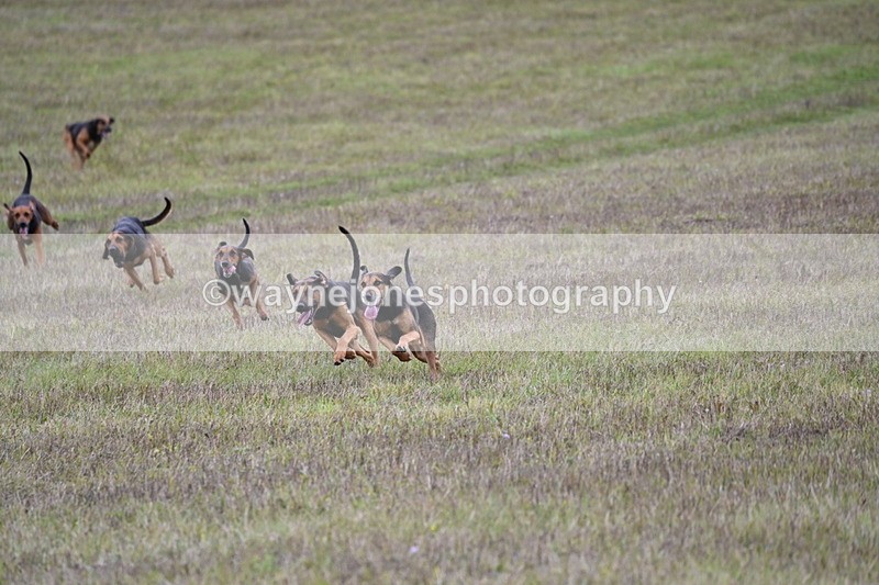 WJ6_0876 - Camera 2 Line 2