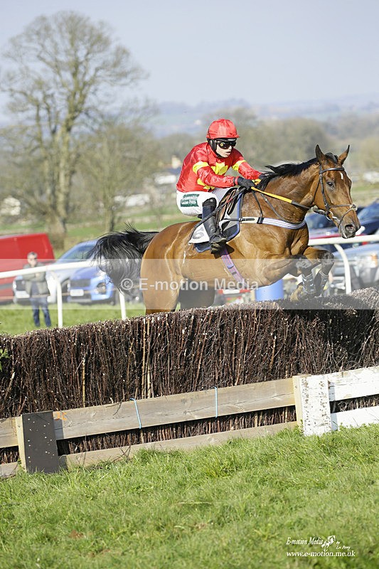 PtP 200322 393 - Mendip Farmers Point-to-Point 20/03/22