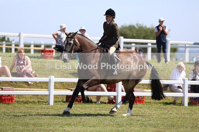 3E7A7580 - Rising Star Ridden Championship