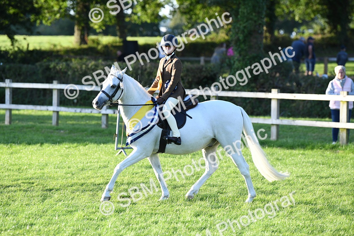 SBM_56477 - 1st Ridden Supreme Championship