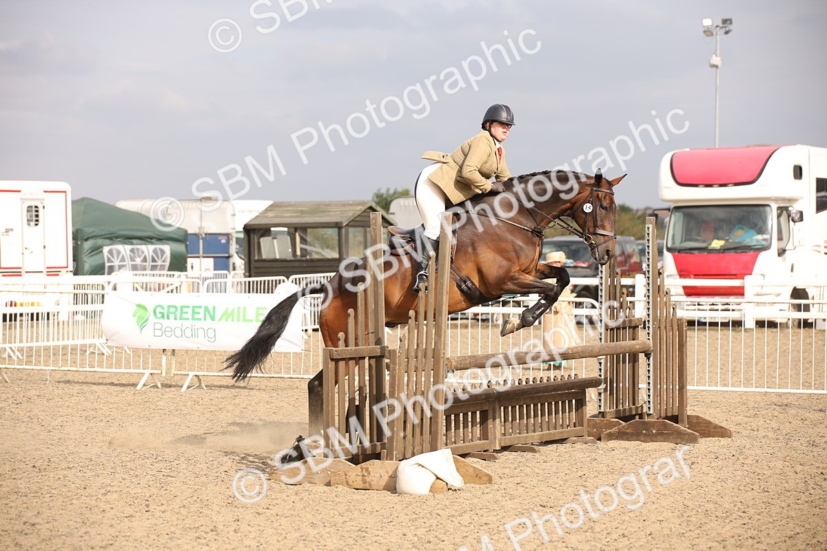 SBM_17289 - Class 410a - Wor5king Veteran 90cm (15-19)