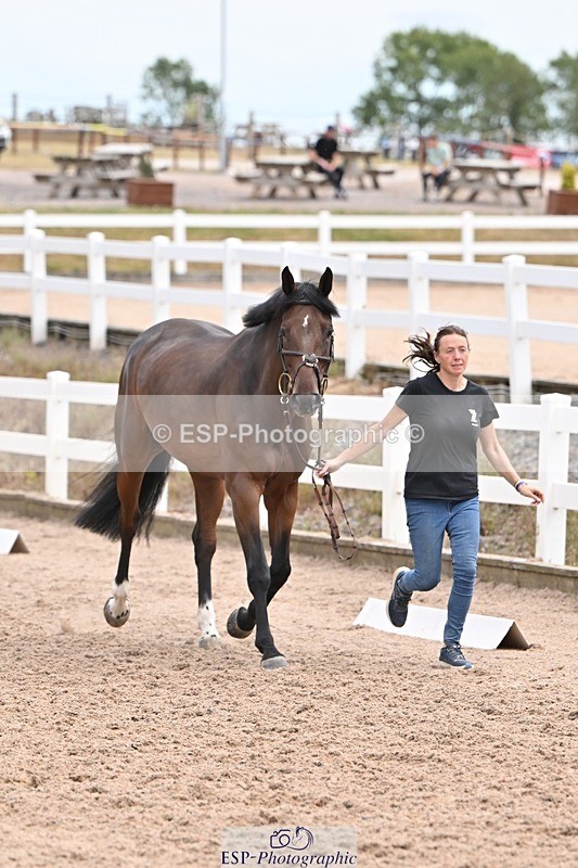 250716-143035-01144 - Trot Up 2.30 to 3.30