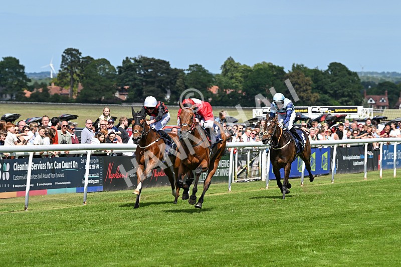 280525-Race 3-Rogue Invader-4816 - Race 3