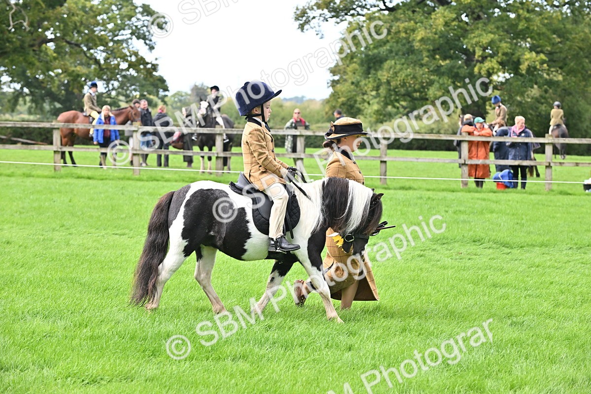SBM_40168 - S20 - Lead Rein Mountain & Moorland Pony