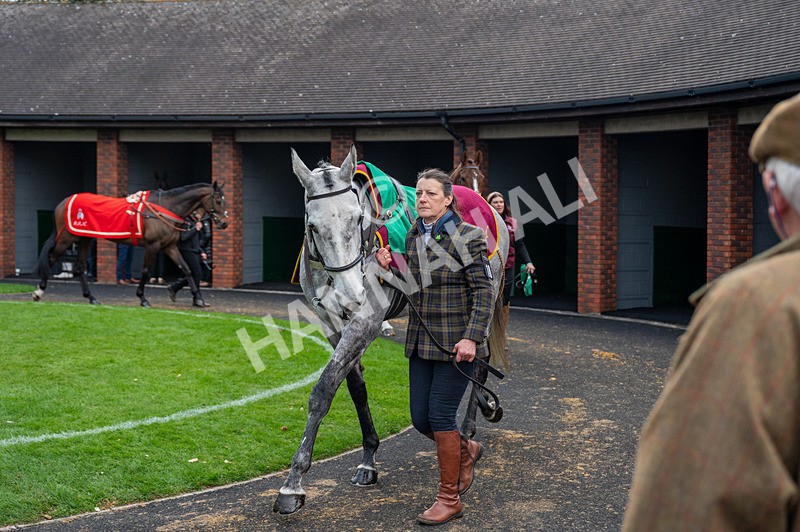 130325-Sine Nomine-WR-8712 - 13th March