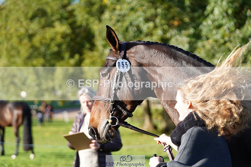 241026-101038-11671 - 055-Ellie.Fredericks-UPPER.CLASS.BRIT