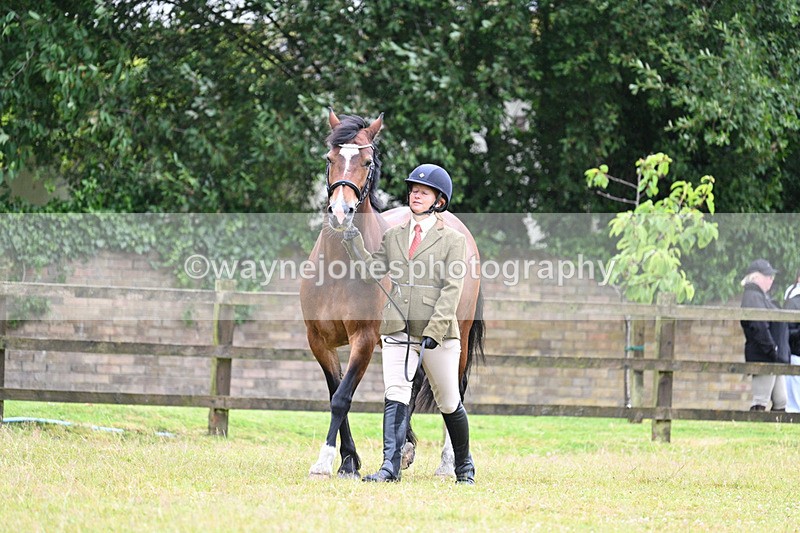 WJ7_6231 - Class 4a Prettiest Mare over 14hh