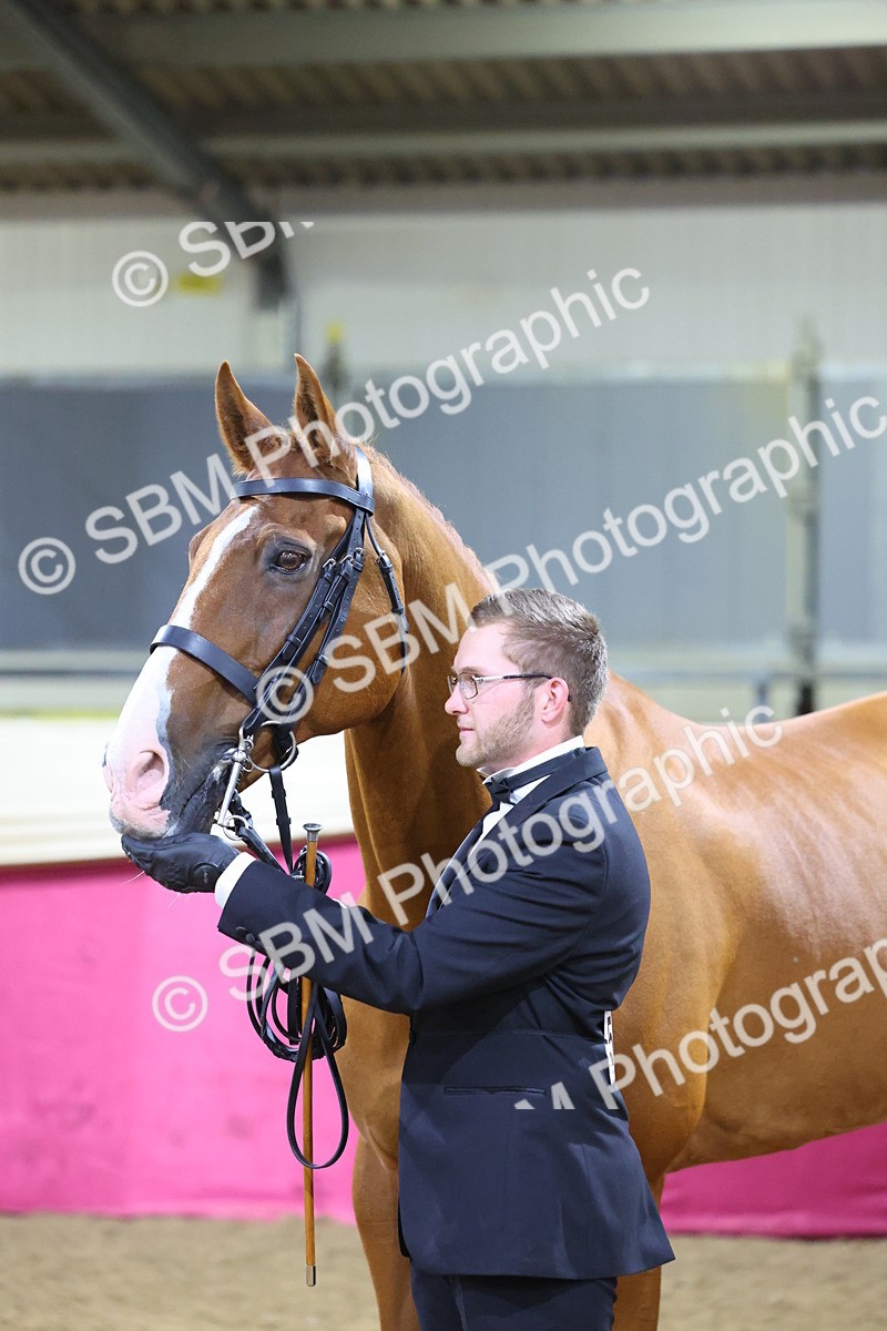 SBM_19178 - Class I Competition/ Riding Club Champ