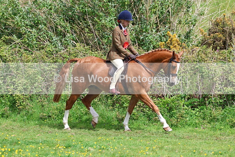 3E7A2156 - Ridden Championship