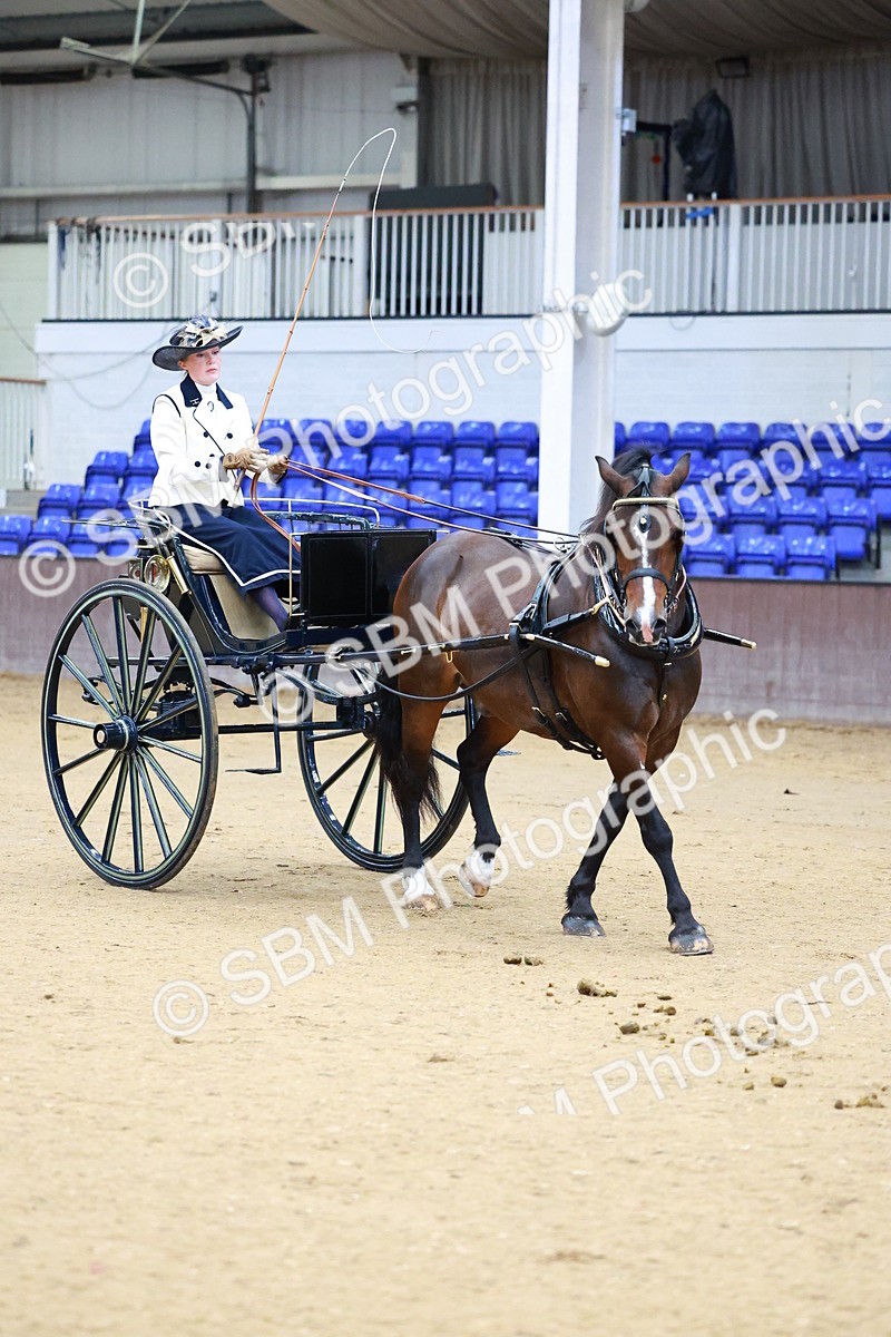 SBM_000122 - Class 3 - Alison Thomas Memorial Lady Whip