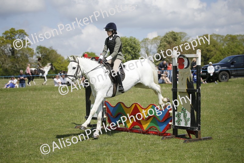 20250427-3560 - Class 14 - Absolute Novice 70cm