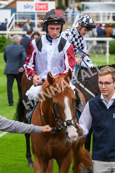 280723-Race 4-Cairn Gorm-0357 - Race 4 6.40pm Tomahawk Restaurants Handicap