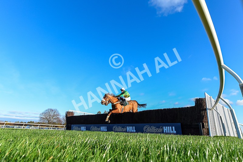 241123-Race 4-Arthurs Quay-4662 - Race 4