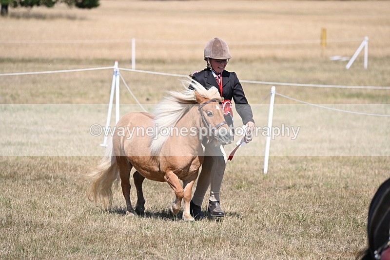 WJ6_9294 - Championship Classes 33-38
