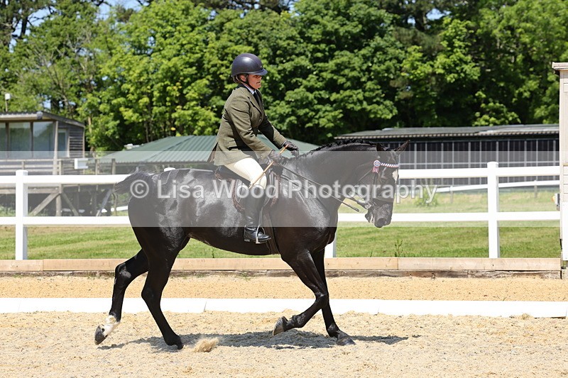 1X9A1826 - Class 12: Ridden Riding Horse/Hack