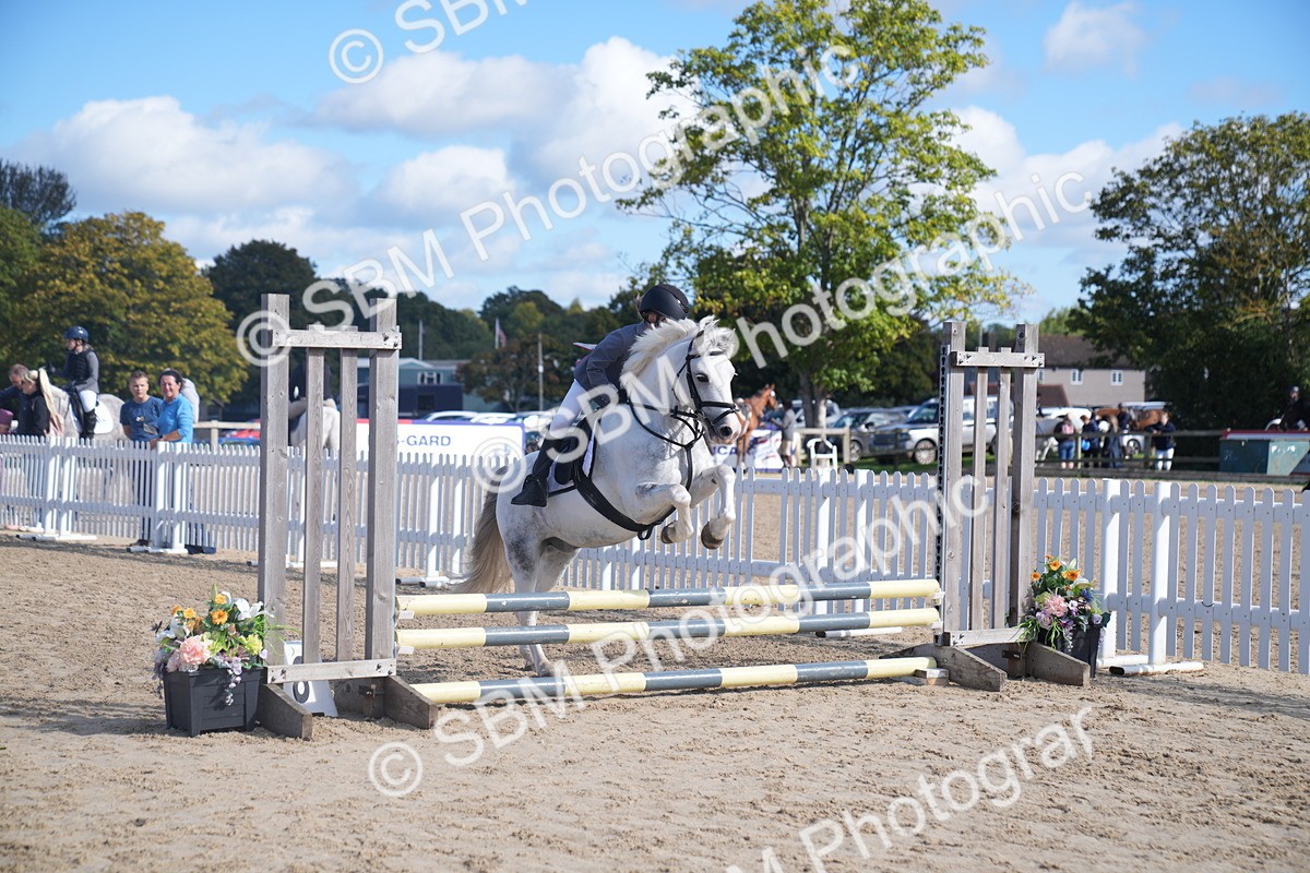 SBM_02464 - J54 Clear Round 45cm