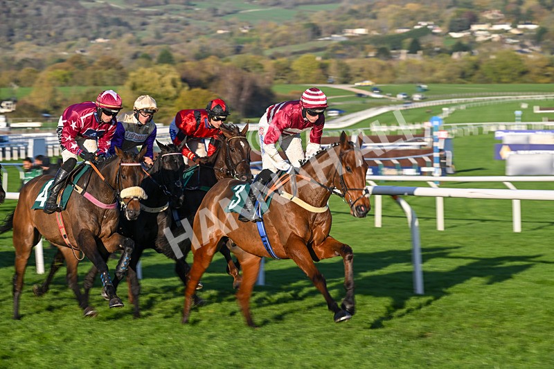 251025-Race 7-Crossgales King-0226 - Race 7