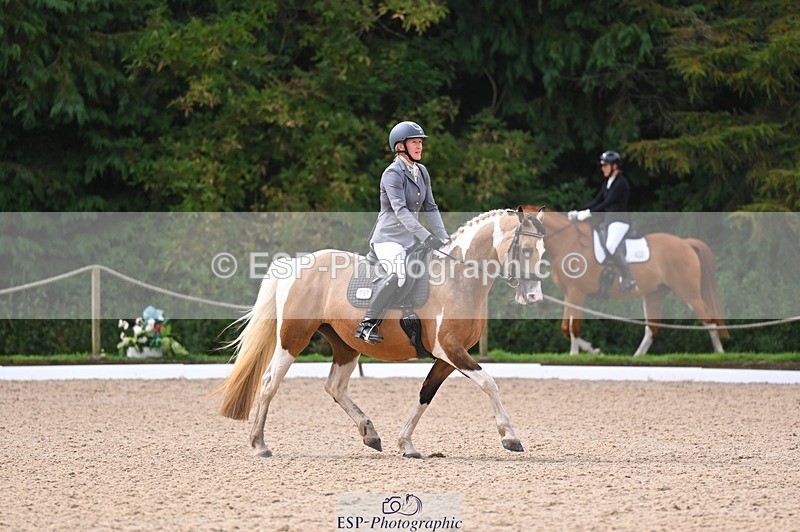 240809-104746-00285 - 157-Judi.Roome-Custard.Cream