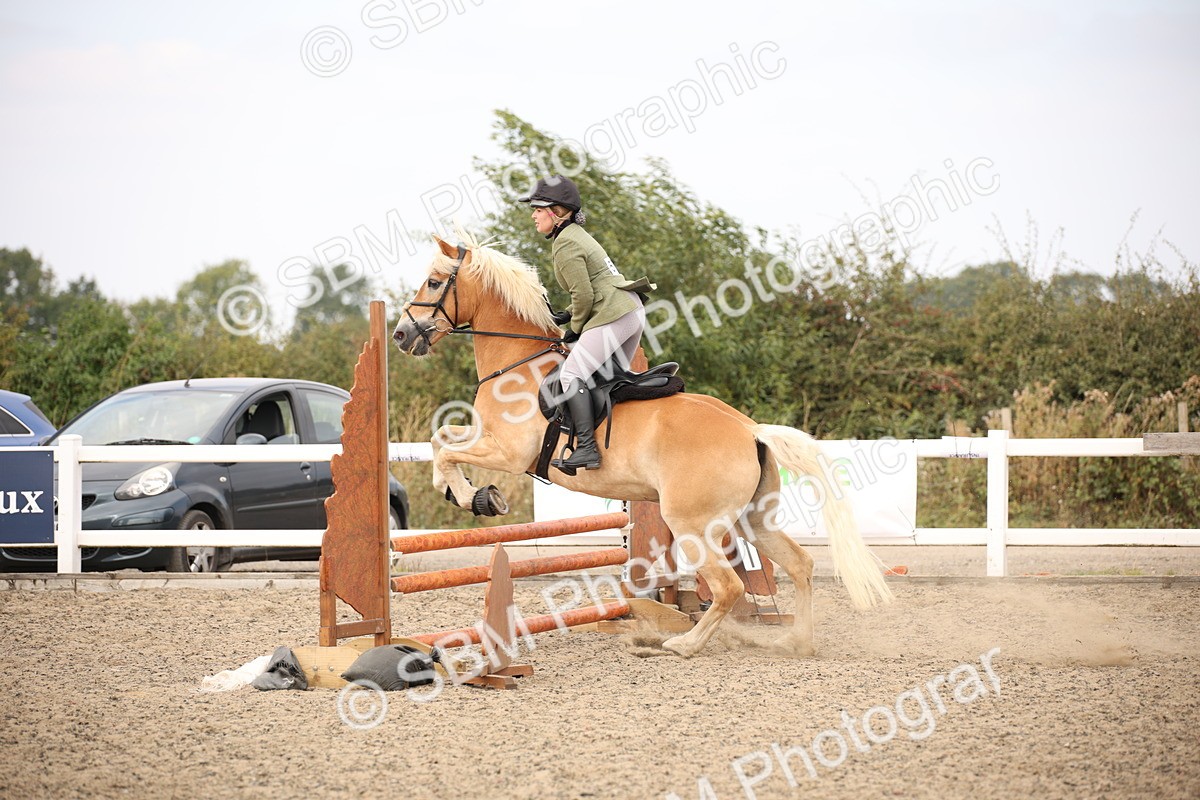 SBM_16166 - Class 409a - Working Veteran 80cm (15-19)