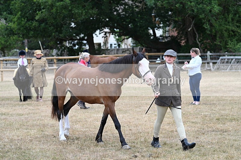 WJ7_8041 - Class 4 Prettiest Mare up to 14.2hh